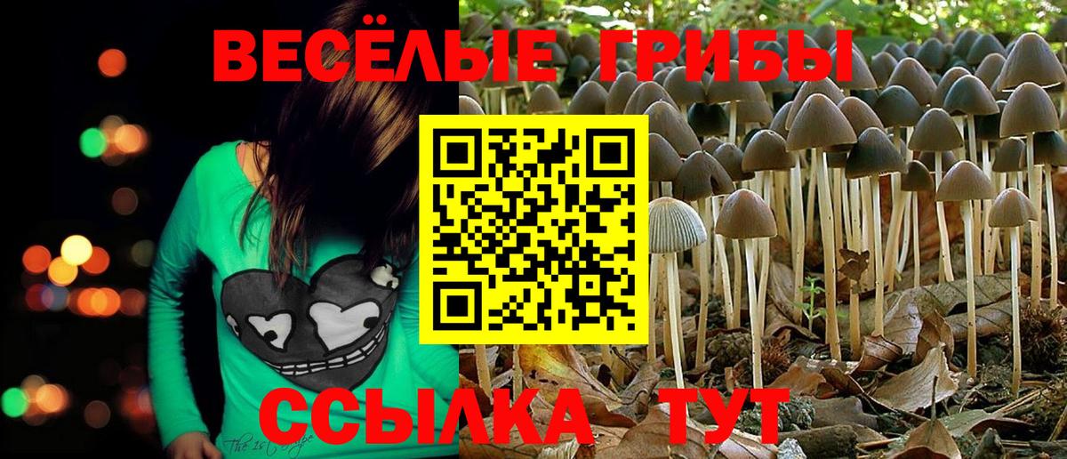 Псилоцибиновые грибы Magic Shrooms  Вход с VPN  Новочебоксарск 
